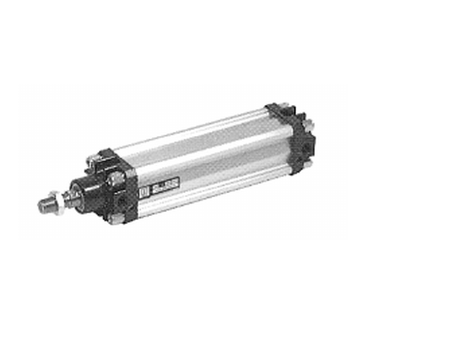 1300 Series Standard Cylinder — Carroland Pneumatics