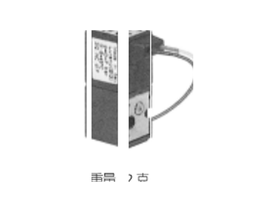300 Series Miniature Direct-Acting Solenoid Valve — 300 Series Direct-Acting Miniature Solenoid Valves Supplier | Carroland Pneumatics